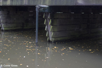Met hout afgewerkte pijlers van de brug
<br/>
Corrie Groen- Pickhard, 2015-10-22